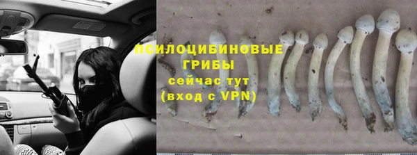 mix Нязепетровск